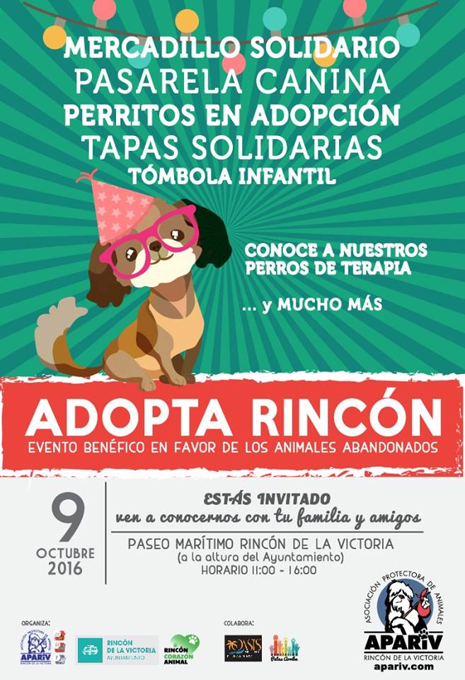 arrinconados__adoptarincon