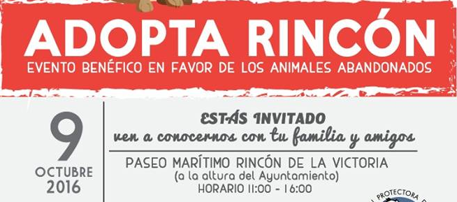 El Ayuntamiento y la Asociación Protectora APARIV organizan  `Adopta Rincón´ para promover la adopción de animales