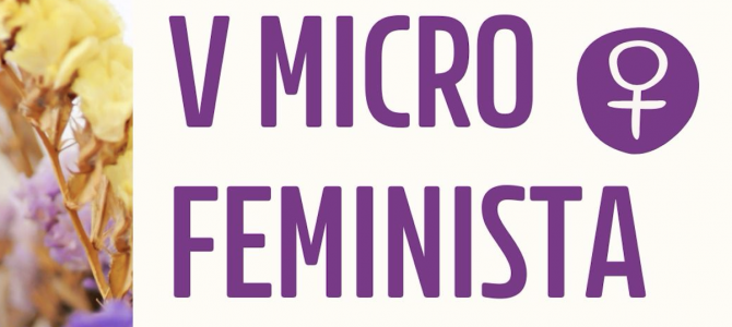 V Micro Feminista